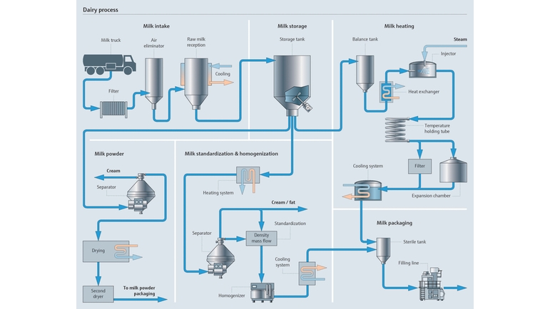 Milk processing from milk intake to packaging