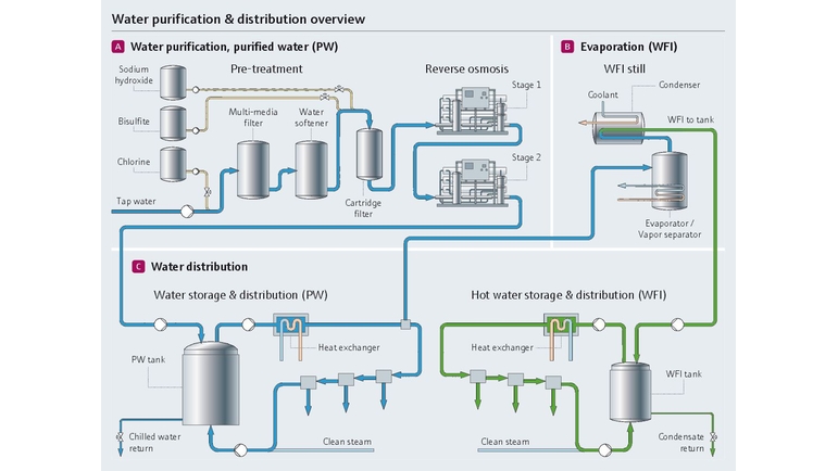 Water purification and distribution process