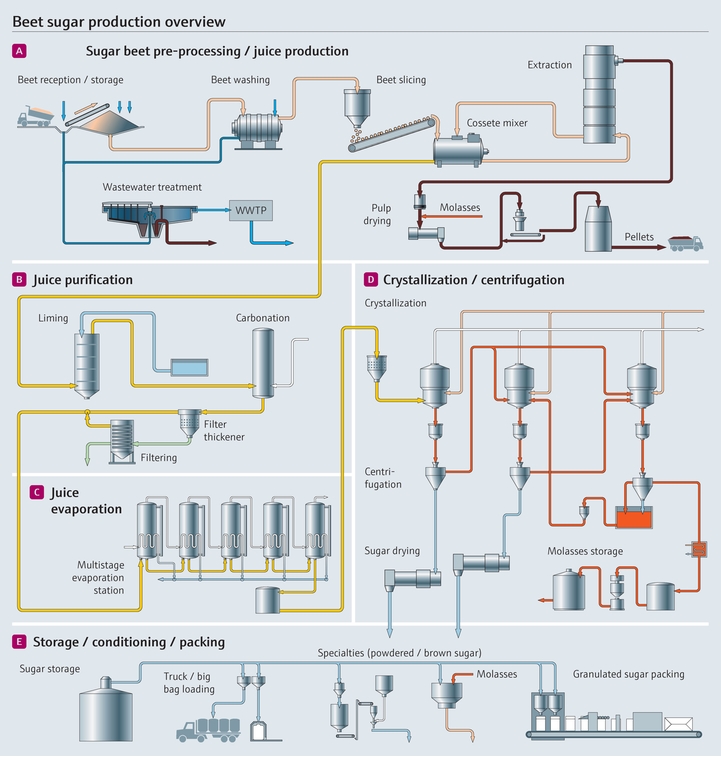 Sugar beet manufacturing process
