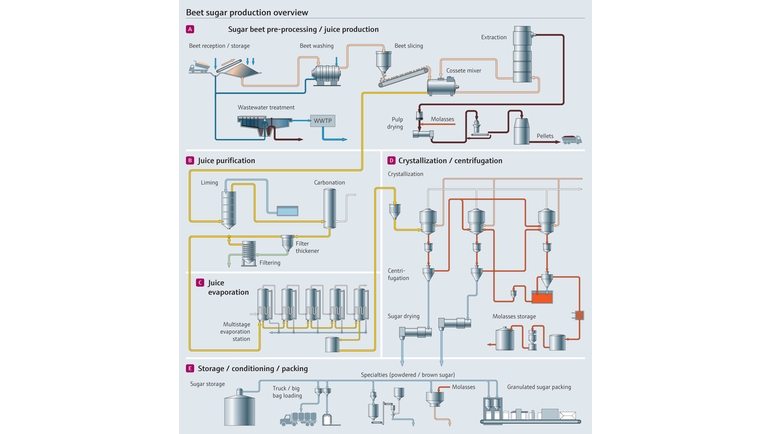 Sugar beet manufacturing process