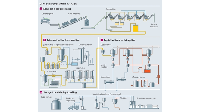 Sugar cane manufacturing process