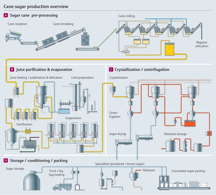 Sugar cane manufacturing process