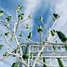 A ‘wind tree’ with tiny turbines generates green energy.
