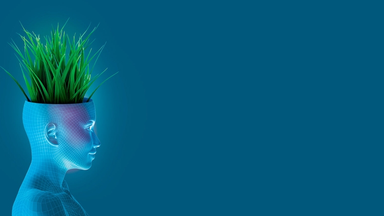 Insights for sustainable decisions