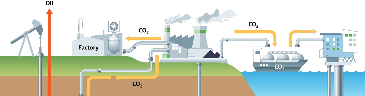 Hydrogen and CCUS ecosystem